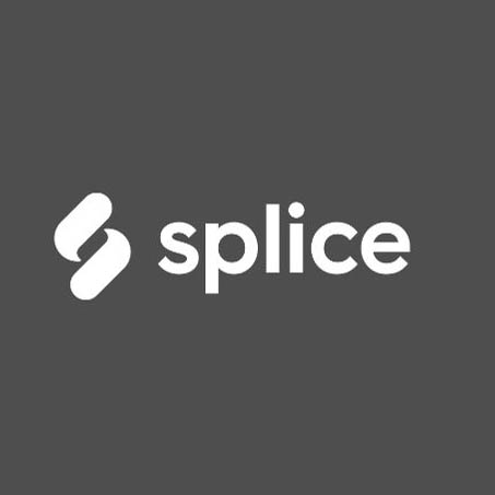 https://www.borisbunnik.com/wp-content/splice2.jpg